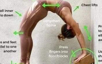 Yoga Poses Health Tips