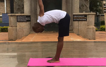 Yoga Poses Asanas